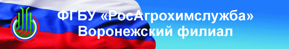 Главная